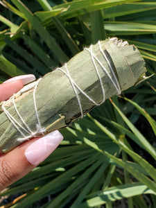 Eucalyptus Smudge Stick